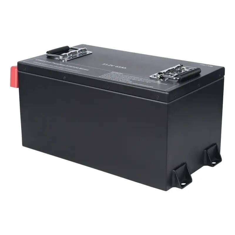 48V 65Ah LiFePO4 Battery Pack for Golf Car & LSV OEMs