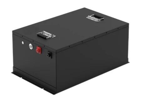 73.6V 100AH LFP Battery Pack